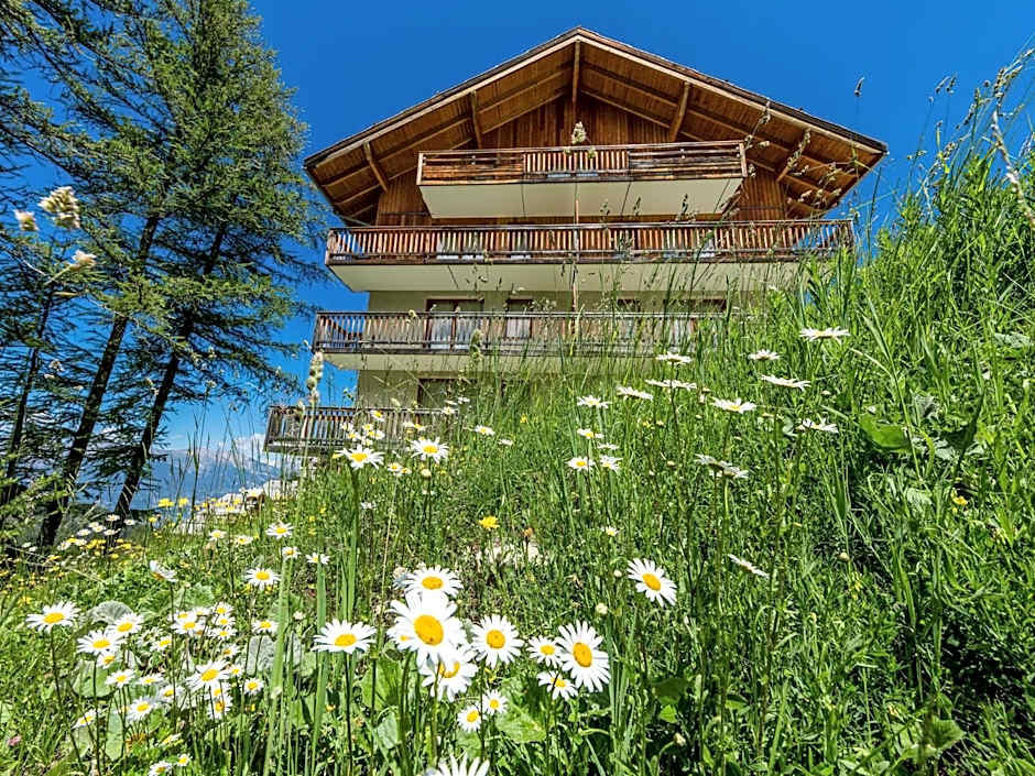 SUNWEB Chalets de Bois Méan