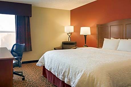1 King Bed Study With Sofabed Nonsmoking
