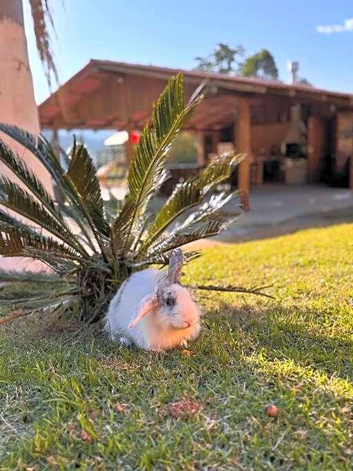Casa de Campo - Águas Mornas SC