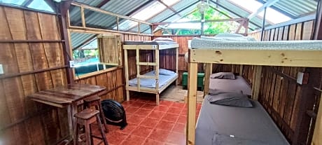 Bed in 6-Bed Mixed Dormitory Room