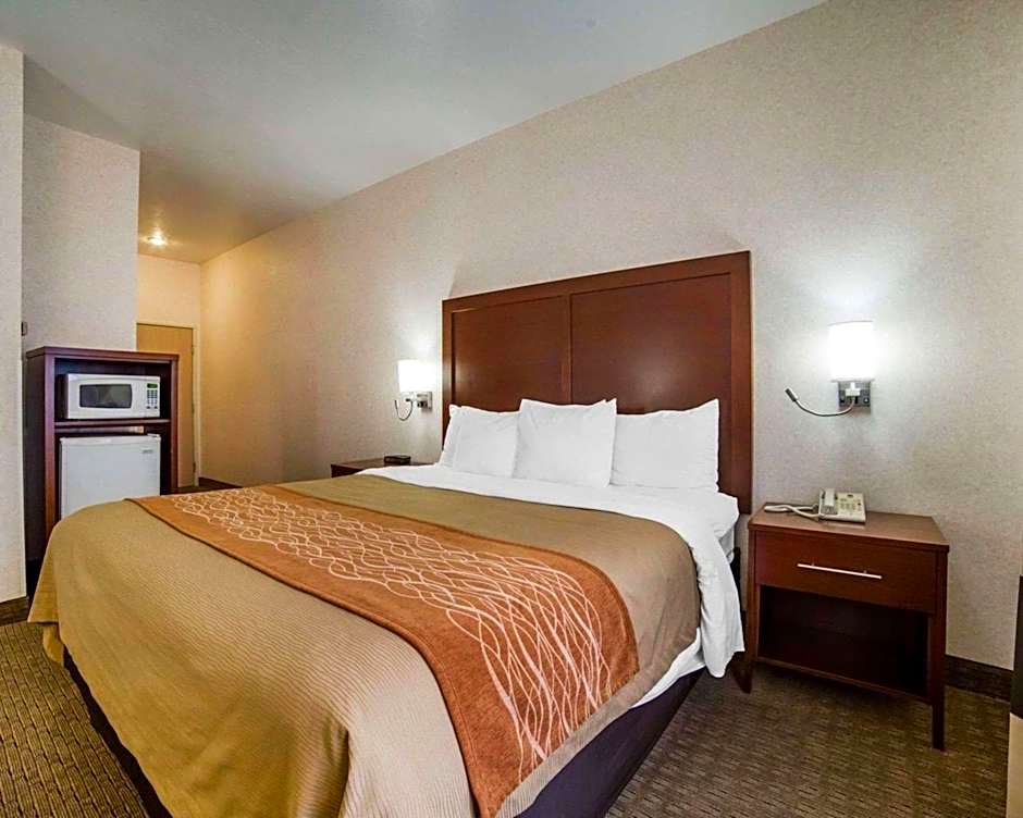Comfort Inn Elko