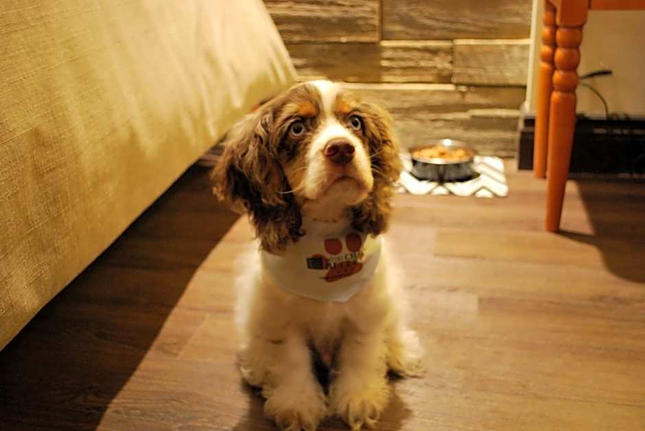 Hotel Chateau Bellevue