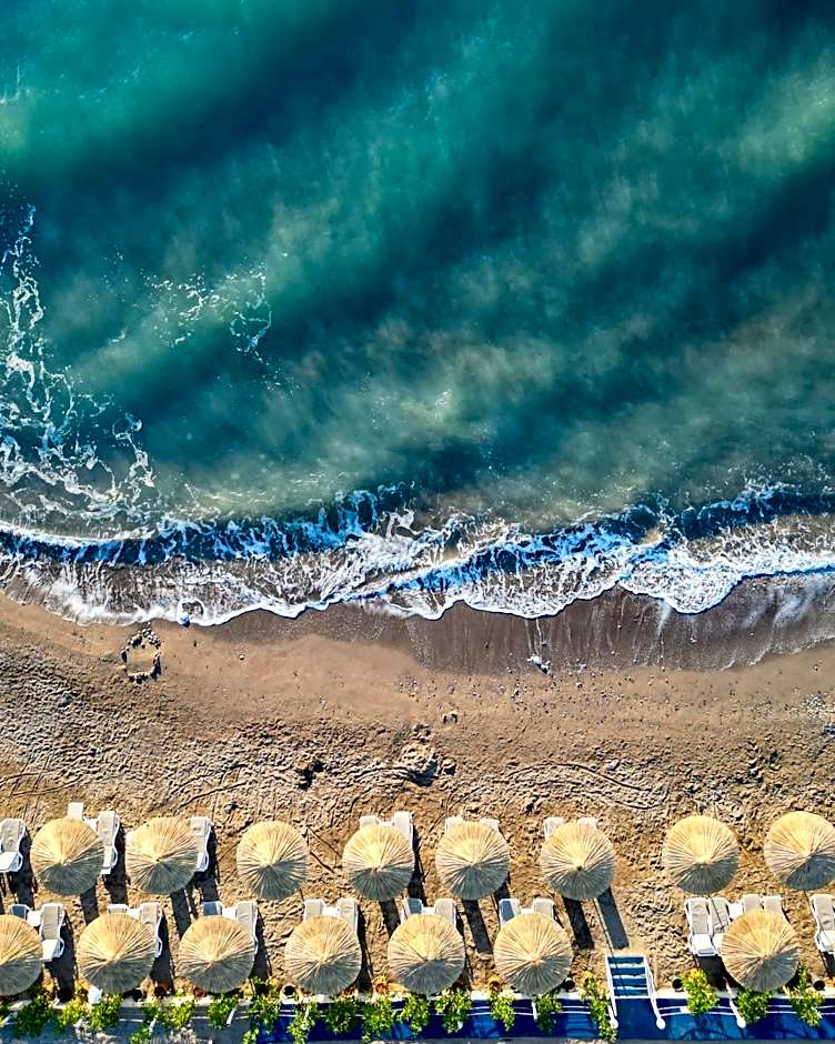 Catamaran Quality Times