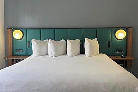 Deluxe One-Bedroom King Suite - Non Smoking