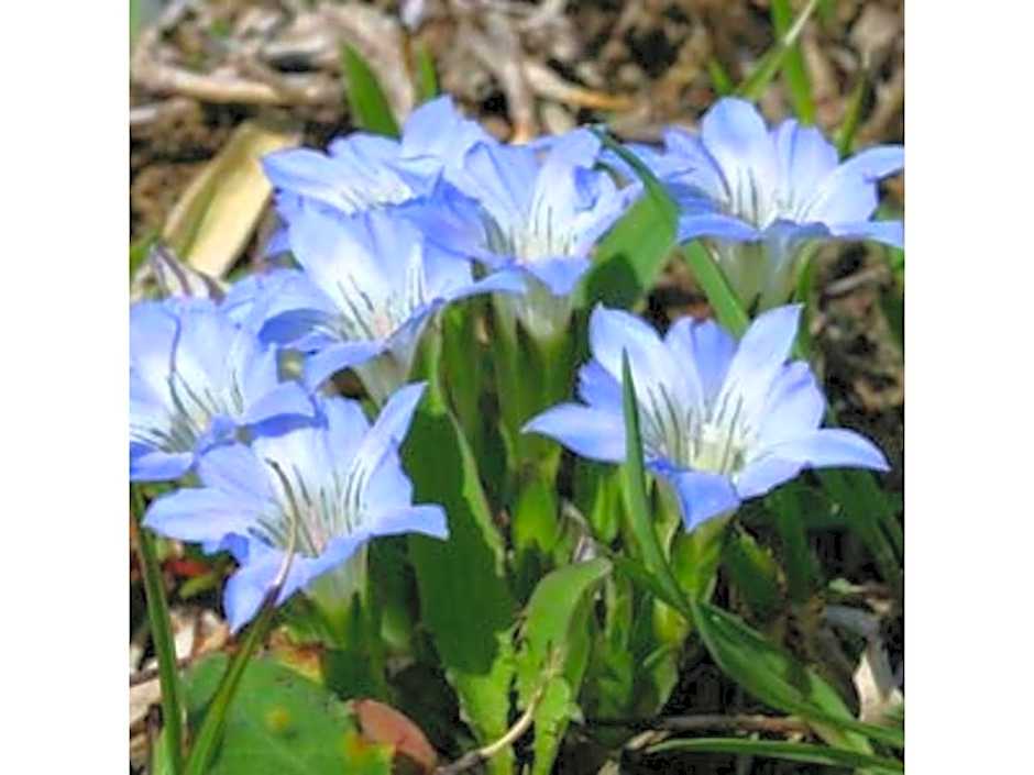 Resonate Club Shape - Vacation STAY 60135v