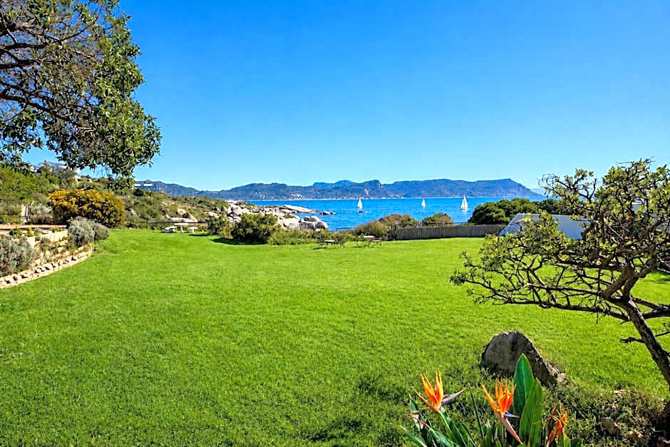 Bosky Dell on Boulders Beach