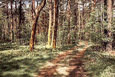 Hotel Natura Residence Business&SPA