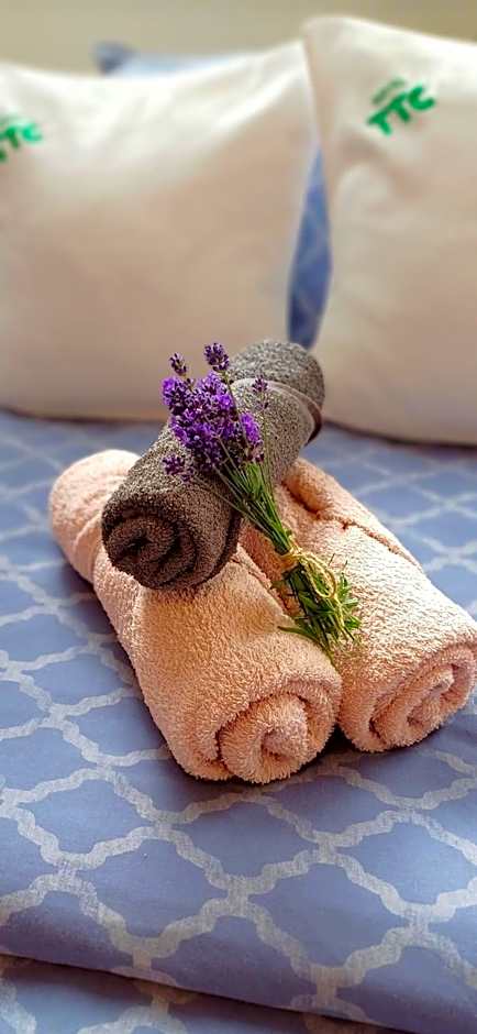 Wellness & Sport Hotel TTC