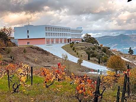 Placido Hotel Douro - Tabuaco