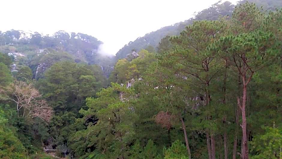 Kanip Aw Pines View Lodge