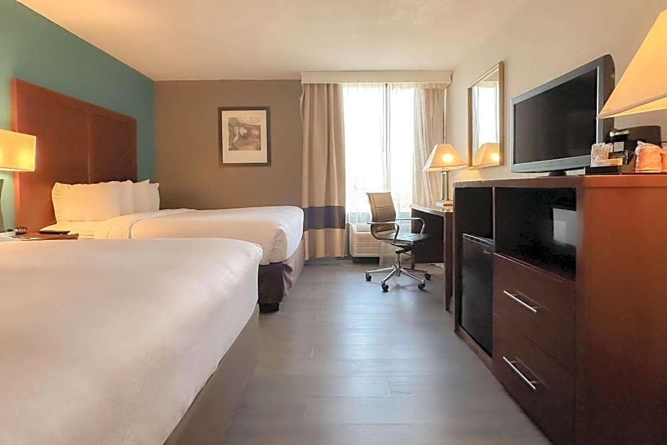 Comfort Inn & Suites Kissimmee By the Parks