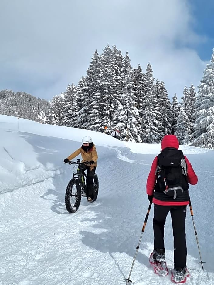 Chalet Arpitan - rentals