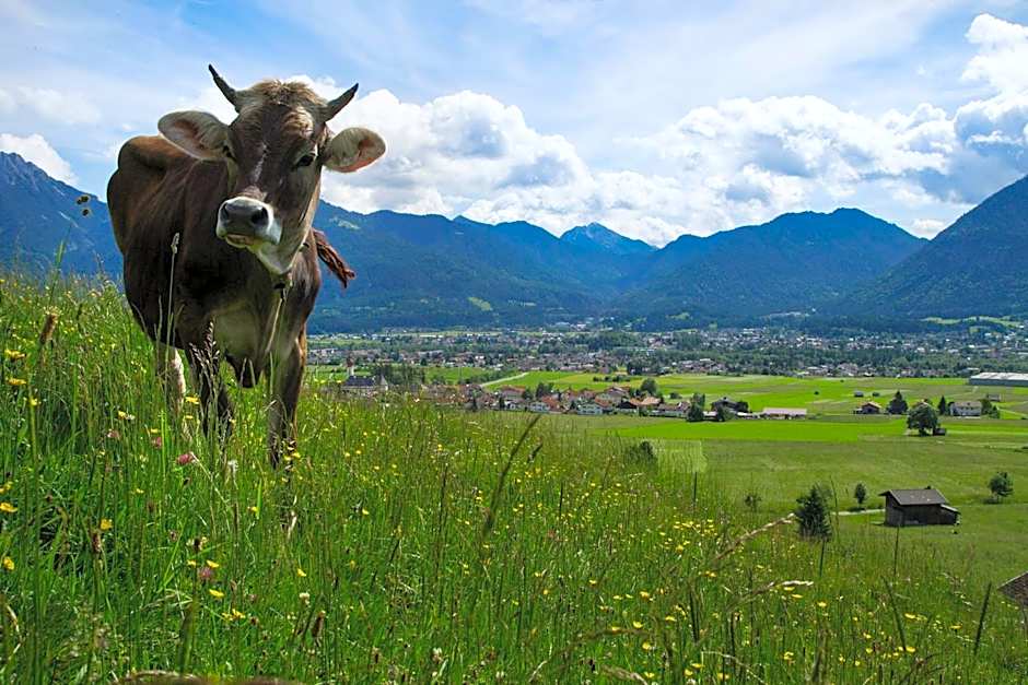 Hotel Gasthof Zum Schwanen