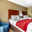 Comfort Inn & Suites Mccomb