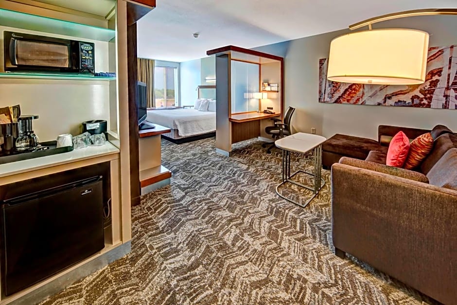 SpringHill Suites by Marriott Oklahoma City Moore