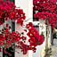 Mellow Paros