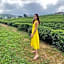 Villa Tea Fields - Free Breakfast, Near Lake Gregory