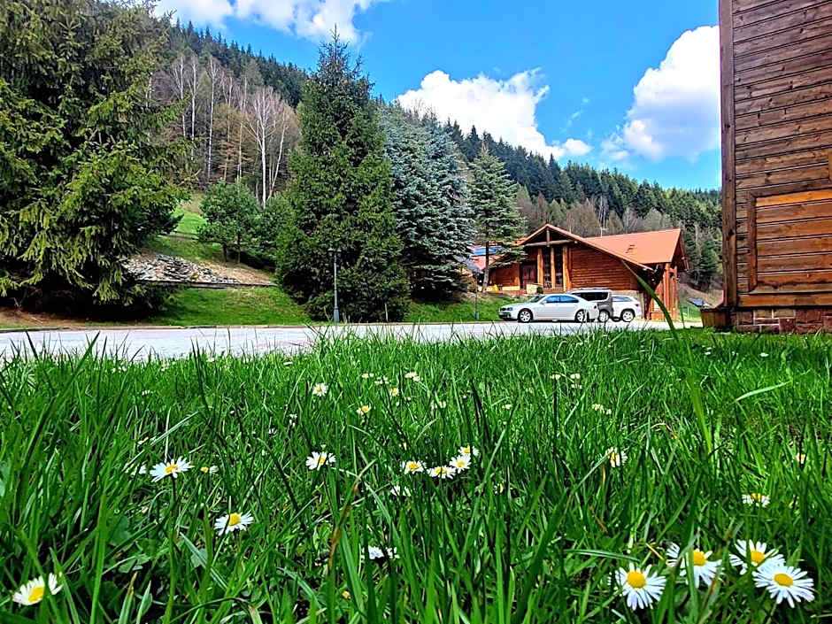 Rezydencja Leśny Dwór