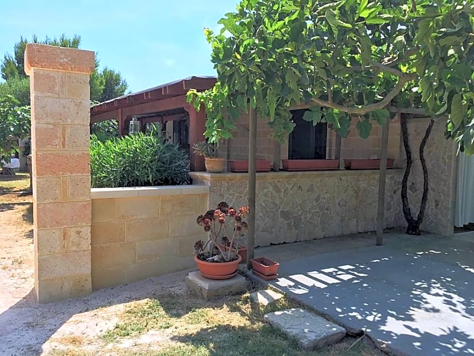 Tenuta Nonno Carmine