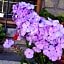B&B Les Fleurs