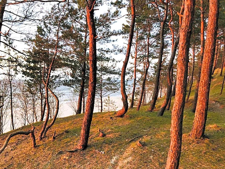 Domki Skowronki
