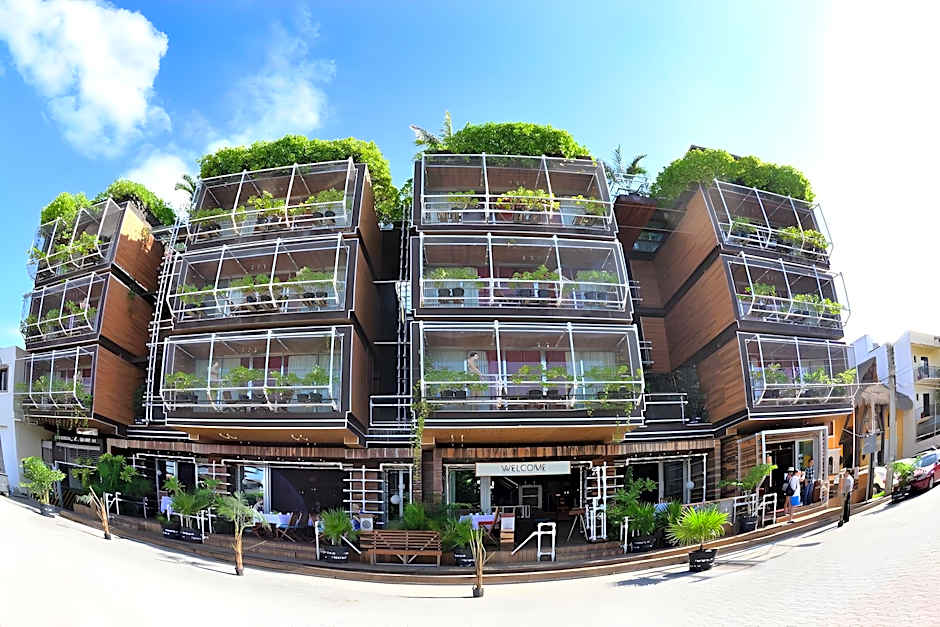 Hotel Kavia 5th Avenida