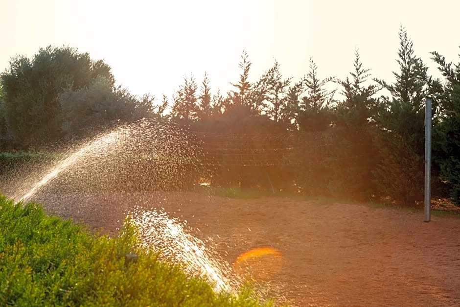 Amethyst Napa Hotel & Spa