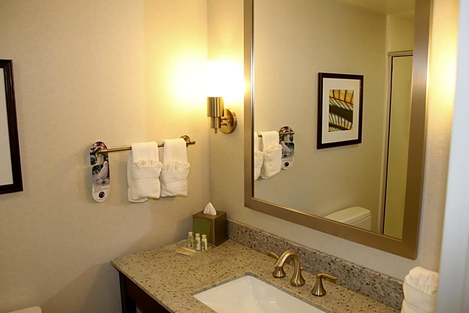 Holiday Inn and Suites East Peoria By IHG