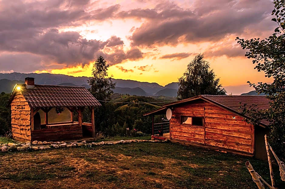 Cabana doi mesteceni