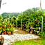 Guest House Hibiscus