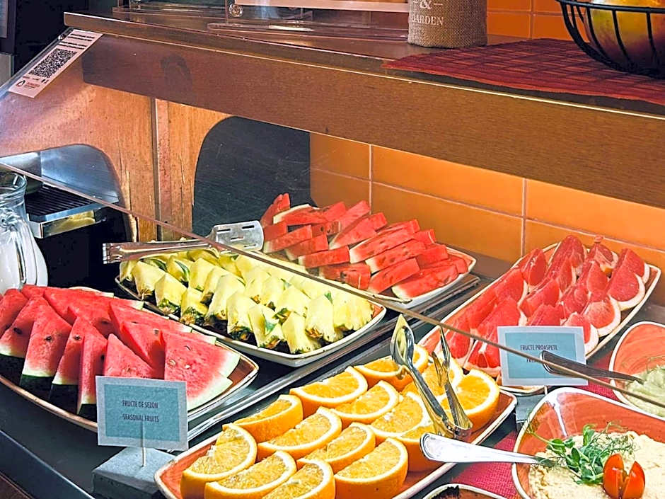 ibis Styles Dunarea Galati