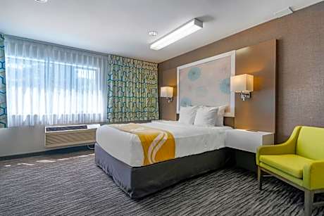 One Room Suite - Non Smoking