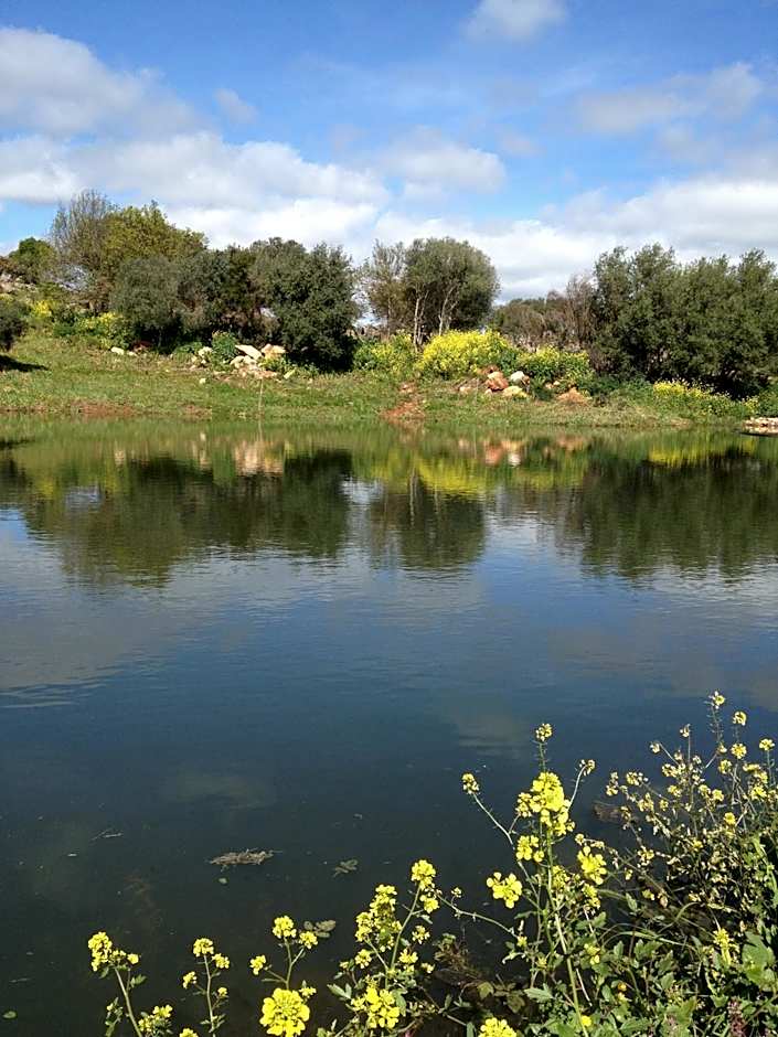 Hotel Rural Monte da Provença