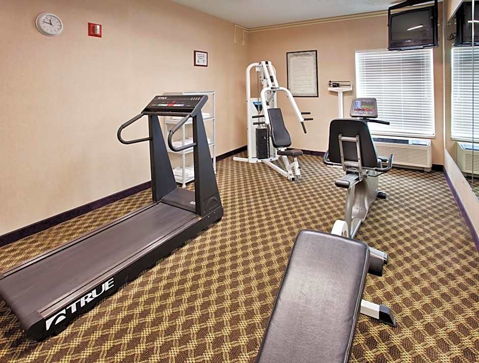 Spark by Hilton Lansing