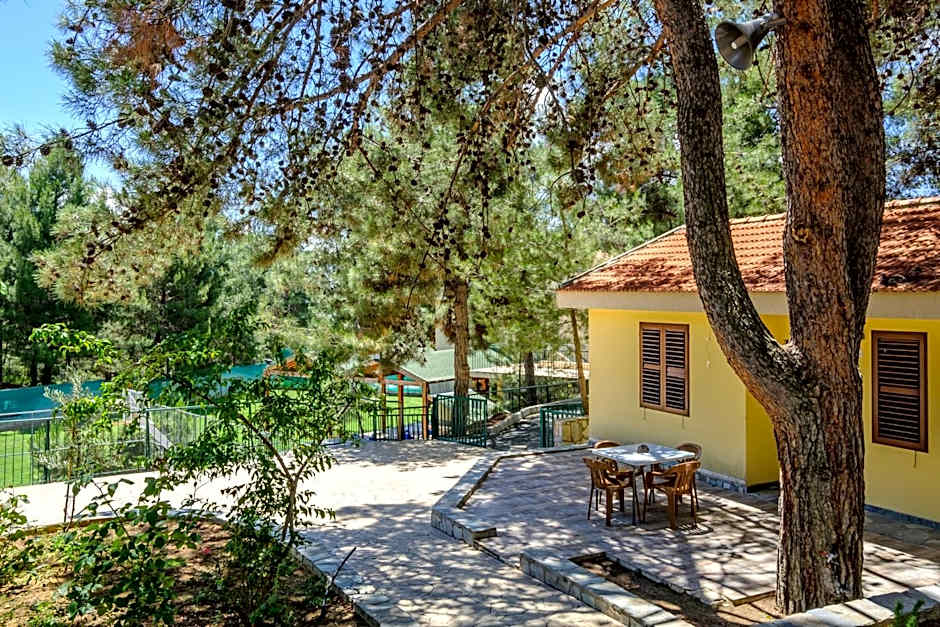 Platres Valley Houses