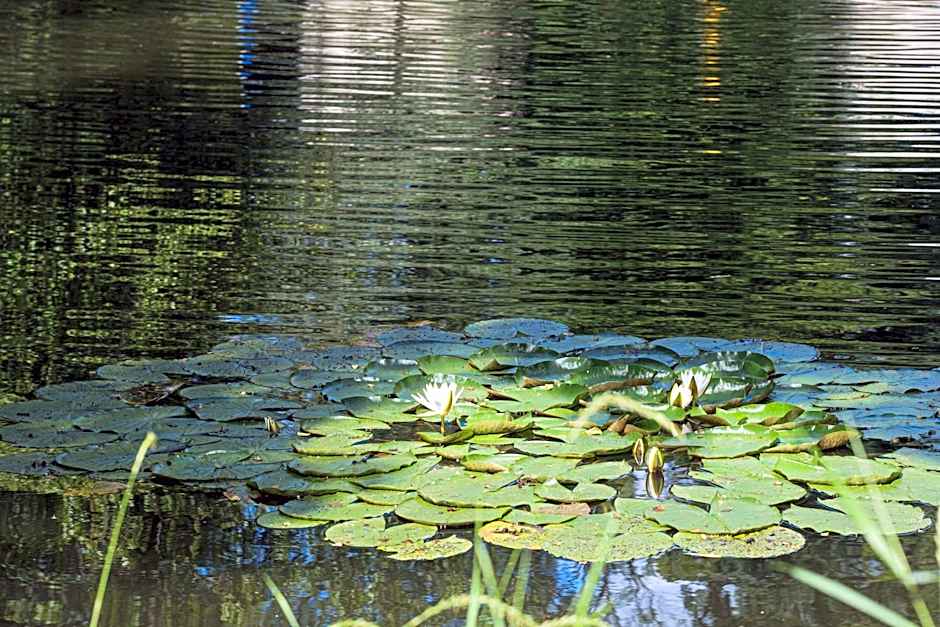 Domaine de la Résidence - Hôtel, Spa & Restaurant