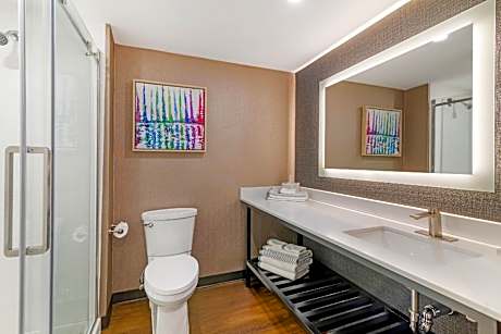Efficiency King Suite - Non Smoking