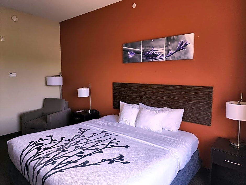 Sleep Inn & Suites Dyersburg I-155