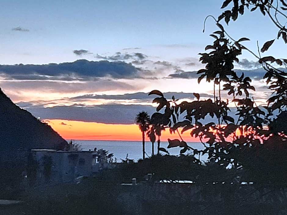 Il Vitigno di Dioniso