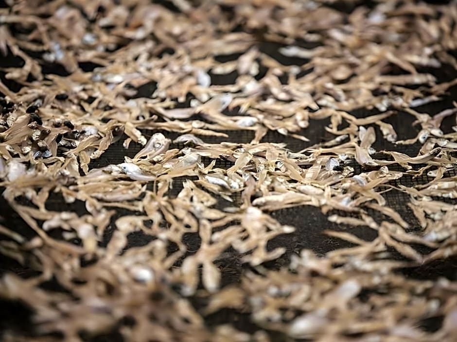 Amaris Hotel Bengkulu