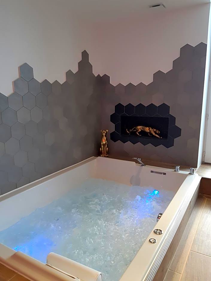 Hotel et Spa Le Lion d'Or