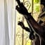 Villa Rocco Rooms
