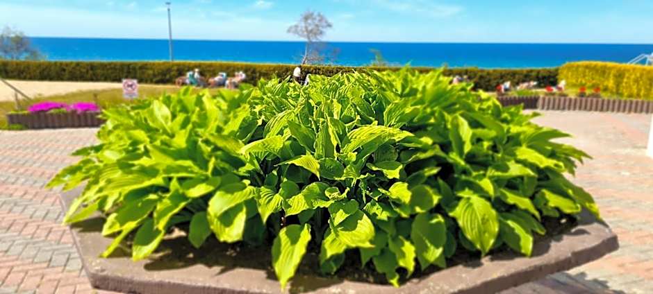 Ośrodek Wypoczynkowy Gwarek Ustronie Morskie