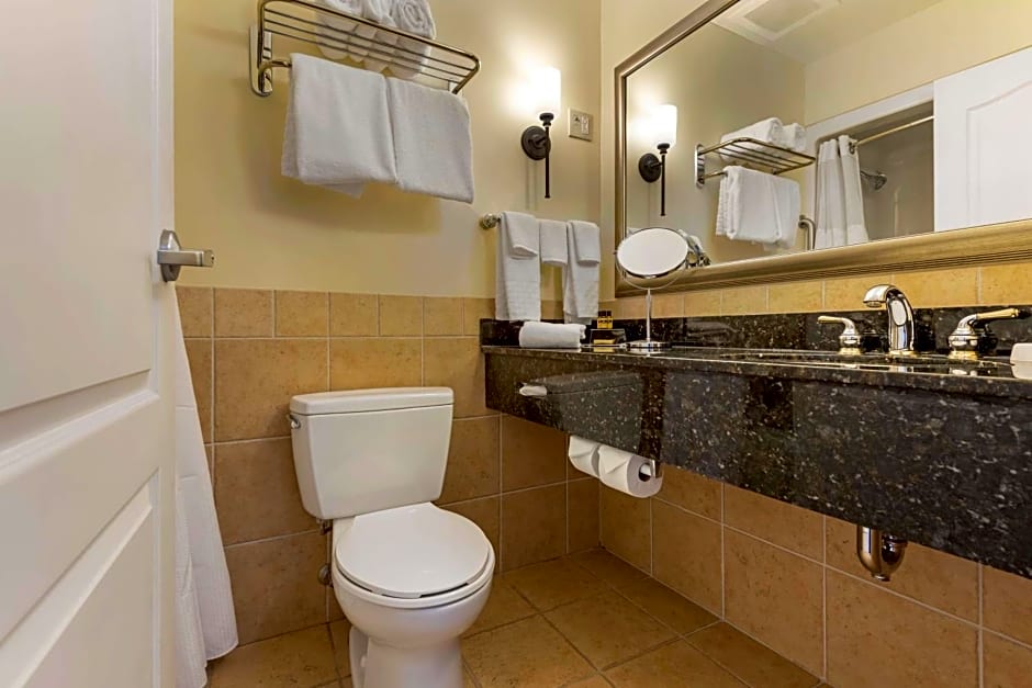 Best Western PLUS Vineyard Inn and Suites