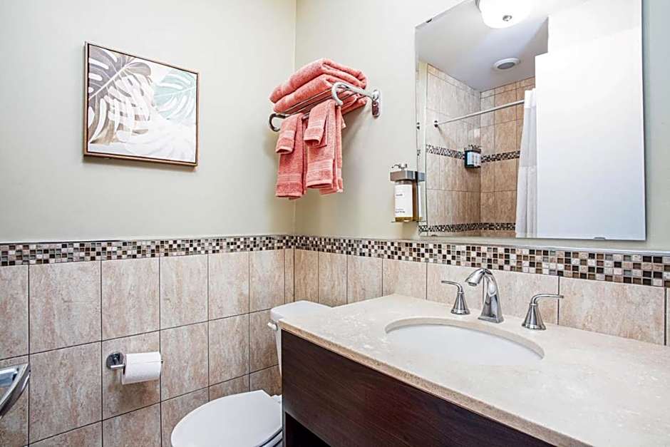 The Local - St. Augustine