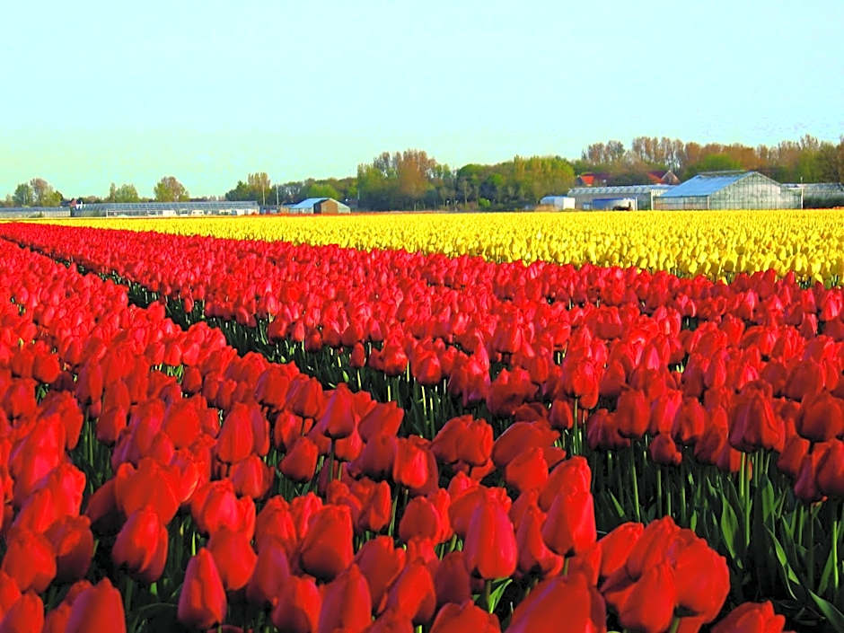 Fletcher Hotel Restaurant De Witte Raaf