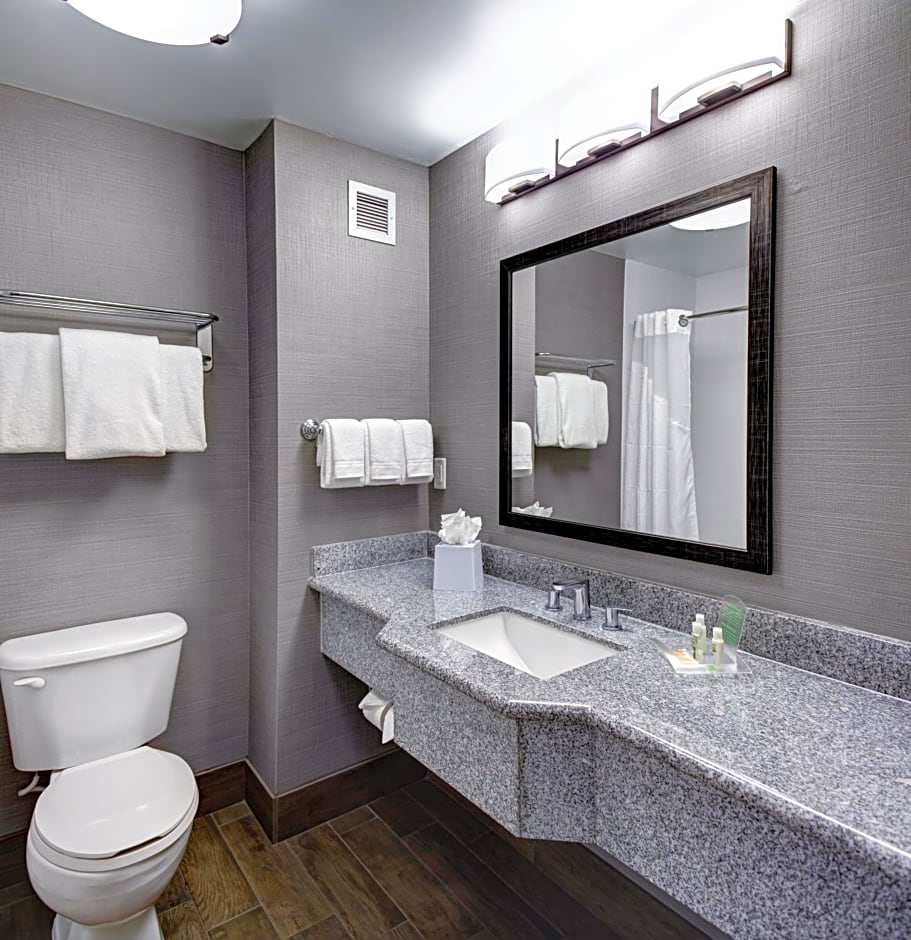 Holiday Inn Savannah Historic District by IHG