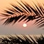 Mare Paphos