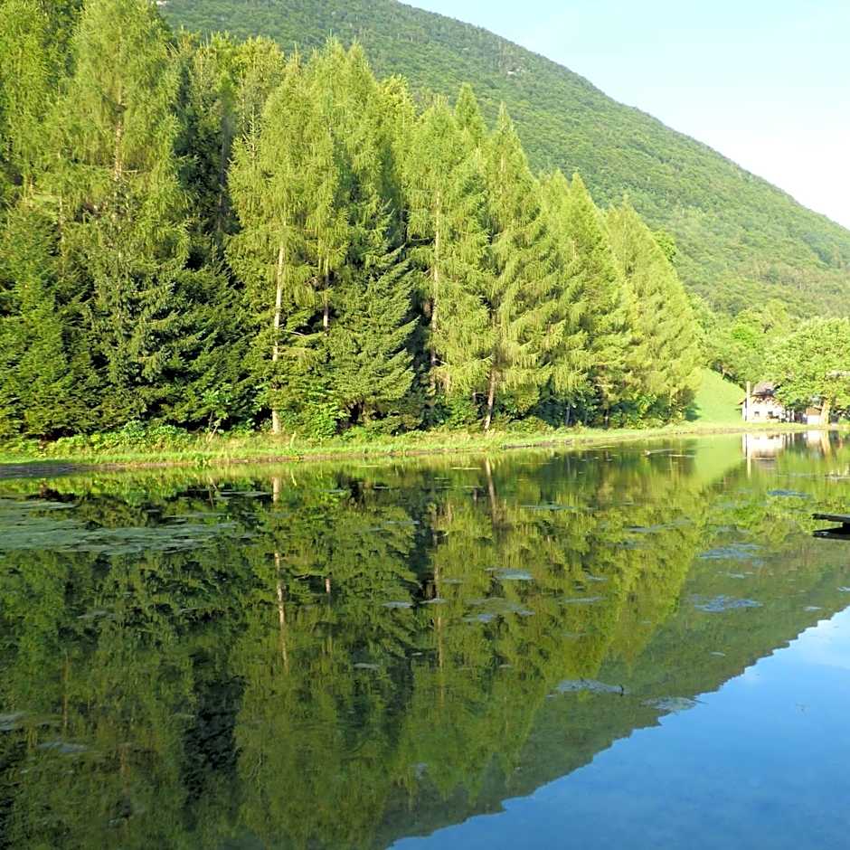 Wieselmühle Forellenhof