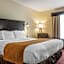 Comfort Inn & Suites LaGuardia Airport